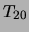 $\displaystyle T_{20}$