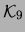$ {\cal K}_9$